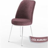 Canisa Concept Dexa Serisi Üst Kalite Mutfak Sandalyesi Metal Beyaz Iskeletli 1 Adet Sandalye - Gülkurusu