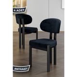 Canisa Concept Dore Serisi 4 Adet Antrasit Babyface Kumaş Siyah Metal İskeletli Mutfak Sandalyesi