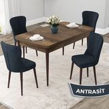 Canisa Concept Due Serisi 80x132 cm Açılabilir Barok Ahşap Desen 4 Sandalye Antrasit Mutfak Masası Takımı