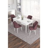 Canisa Concept Eva Serisi 80 x 132 cm Açılabilir Mdf Mutfak Masa Takımı Beyaz Masa ve 4 Sandalye - Gül Kurusu