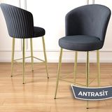 Canisa Concept Fora Serisi 2 Adet Babyface Kumaş Gold Kaplama Metal Ayaklı Ada Mutfak Bar Sandalyesi - Ahşap