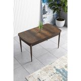 Canisa Concept Han Serisi 70x114 cm Açılabilir Mdf Barok Mutfak Masası