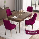 Canisa Concept Iza Serisi 80 x 132 cm Açılabilir Mdf Masa Barok Ahşap Desen Mutfak Masa Takımı 4 Sandalye - 80x132 - Mürdüm
