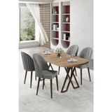Canisa Concept Kaye Serisi Mdf 90X168 Atlantik Çam Mutfak Masa Takımı 4 Gri Sandalye