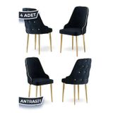 Canisa Concept Krax Serisi 1.Sınıf Babyface Kumaş Yemek Odası Sandalyesi Gold Metal Ayak 4 Adet Antrasit Sandalye