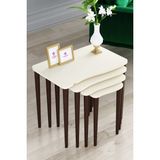 Canisa Concept Kuğu Serisi Mdf 4 Lü Zigon Sehpa Takımı
