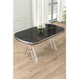 Canisa Concept Lai Serisi 90X168 Lak Panel Sabit Siyah Mermer Desen Krom Ayak Masa