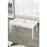 Canisa Concept Lav Serisi 80x130 cm Sabit Beyaz Mutfak Masası