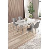 Canisa Concept Lena Serisi 90X160 Lak Panel Beyaz Mermer Desen Kromkaplama Ayaklı Masa Takımı Ve 4 Gri Sandalye