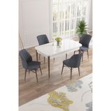Canisa Concept Nef Serisi 70 x 114 Cm, Açılabilir Mdf Mutfak Masa Takımı, Beyaz Masa Ceviz Ayak, 4 Sandalye - Füme