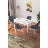 Canisa Concept Nef Serisi 70 x 114 Cm, Açılabilir Mdf Mutfak Masa Takımı, Beyaz Masa ve 4 Sandalye - Füme