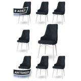 Canisa Concept Neta Serisi, 1.Sınıf Babyface Kumaş , Beyaz Gürgen Ayak, 8 Adet Antrasit Yemek Odası Sandalye