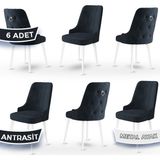 Canisa Concept Newa Serisi Babyface Kumaş Beyaz Metal Ayak Gümüş Halkalı 6 Adet Sandalye - Antrasit