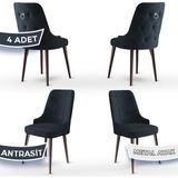 Canisa Concept Newa Serisi Babyface Kumaş Kahve Metal Ayaklı Gümüş Halkalı 4 Adet Sandalye - Antrasit
