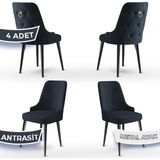 Canisa Concept Newa Serisi Babyface Kumaş Siyah Metal Ayak Gold Halka 4 Adet Sandalye - Antrasit