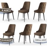 Canisa Concept Newa Serisi Babyface Kumaş Siyah Metal Ayak Gold Halkalı 6 Adet Sandalye - Kahverengi