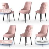 Canisa Concept Newa Serisi,1.sınıf Babyface Kumaş Siyah Metal Ayak Gold Halkalı, 6 Adet Sandalye - Pembe