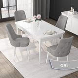 Canisa Concept Nex Serisi Beyaz 80 x 132 cm Mdf Mutfak Masasıtakımı Metal Iskelet 4 Sandalye Gümüş Halka - 80x132 - Gri