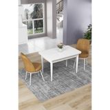 Canisa Concept Nil Serisi 70x110 cm Sabit Mutfak Masası Takımı, Beyaz Masa, 2 Cappuccino Sandalye