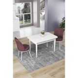 Canisa Concept Nil Serisi 70x110 cm Sabit Mutfak Masası Takımı, Beyaz Masa, 2 Gülkurusu Sandalye