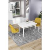 Canisa Concept Nil Serisi 70x110 cm Sabit Mutfak Masası Takımı, Beyaz Masa, 2 Hardal Sandalye