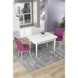 Canisa Concept Nil Serisi 70x110 cm Sabit Mutfak Masası Takımı, Beyaz Masa, 2 Mor Sandalye