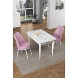 Canisa Concept Nil Serisi 70x110 cm Sabit Mutfak Masası Takımı, Beyaz Mermer Desen Masa, 2 Pembe Sandalye