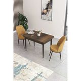 Canisa Concept Nil Serisi 70X110 Sabit Mutfak Masası Takımı Barok Desen Masa 2 Cappucino Sandalye