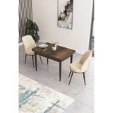 Canisa Concept Nil Serisi 70x110 Sabit Mutfak Masası Takımı Barok Desen Masa 2 Krem Sandalye