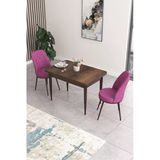 Canisa Concept Nil Serisi 70X110 Sabit Mutfak Masası Takımı Barok Desen Masa 2 Mor Sandalye