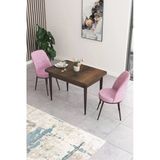 Canisa Concept Nil Serisi 70X110 Sabit Mutfak Masası Takımı Barok Desen Masa 2 Pembe Sandalye