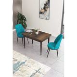 Canisa Concept Nil Serisi 70X110 Sabit Mutfak Masası Takımı Barok Desen Masa 2 Turkuaz Sandalye