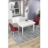 Canisa Concept Nil Serisi 70x110 Sabit Mutfak Masası Takımı Beyaz Masa 2 Bordo Sandalye