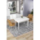 Canisa Concept Nil Serisi 70X110 Sabit Mutfak Masası Takımı Beyaz Masa 2 Cappucino Sandalye
