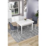 Canisa Concept Nil Serisi 70x110 Sabit Mutfak Masası Takımı Beyaz Masa 2 Füme Sandalye