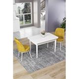 Canisa Concept Nil Serisi 70X110 Sabit Mutfak Masası Takımı Beyaz Masa 2 Hardal Sandalye