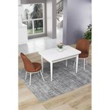 Canisa Concept Nil Serisi 70x110 Sabit Mutfak Masası Takımı Beyaz Masa 2 Kiremit Sandalye