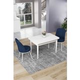 Canisa Concept Nil Serisi 70x110 Sabit Mutfak Masası Takımı Beyaz Masa 2 Lacivert Sandalye
