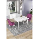 Canisa Concept Nil Serisi 70X110 Sabit Mutfak Masası Takımı Beyaz Masa 2 Mor Sandalye