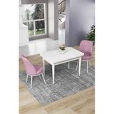 Canisa Concept Nil Serisi 70X110 Sabit Mutfak Masası Takımı Beyaz Masa 2 Pembe Sandalye