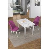 Canisa Concept Nil Serisi 70X110 Sabit Mutfak Masası Takımı Beyaz Mermer Desen Masa 2 Mor Sandalye