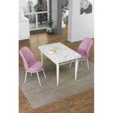 Canisa Concept Nil Serisi 70X110 Sabit Mutfak Masası Takımı Beyaz Mermer Desen Masa 2 Pembe Sandalye