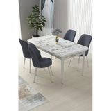 Canisa Concept Nil Serisi 70x110 Sabit Mutfak Masası Takımı Beyaz Mermer Desen Masa 4 Füme Sandalye