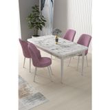Canisa Concept Nil Serisi 70x110 Sabit Mutfak Masası Takımı Beyaz Mermer Desen Masa 4 Pembe Sandalye