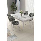 Canisa Concept Nil Serisi 70x110 Sabit Mutfak Masası Takımı Beyaz Mermer Desen Masa 4 Zebra Desen Sandalye