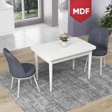 Canisa Concept Nil Serisi MDF Beyaz Yemek Masası Mutfak Masa Takımı + 2 Adet Sandalye - Gri