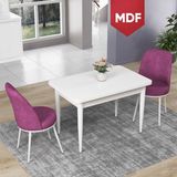 Canisa Concept Nil Serisi MDF Beyaz Yemek Masası Mutfak Masa Takımı + 2 Adet Sandalye