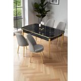 Canisa Concept Nira Serisi 70X114 Mdf Siyah Mermer Desen Mutfak Masa Takımı 4 Gri Sandalye Gold Detay