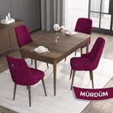 Canisa Concept Noa Serisi, 80 x 132 cm Mdf Masa Takımı, Barok Ahşap Desen Masa 4 Sandalye, Gümüş Halkalı - Mürdüm