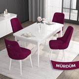 Canisa Concept Noa Serisi,80 x 132 cm Açılabilir Mdf Masa,beyaz Mutfak Masa Takımı,4 Sandalye Gümüş Halkalı - Mürdüm